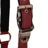 Halster en longe Equestro Zwart Halster en longe Equestro Zwart