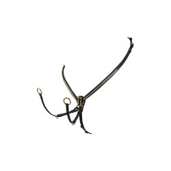 Lederen jachtborsttuig met messing clincher Equestro Zwart