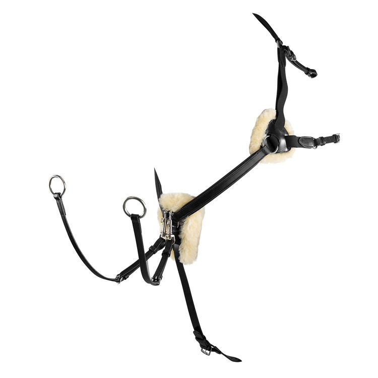 Salome 5-punts borsttuig met Magic Equestro-systeem