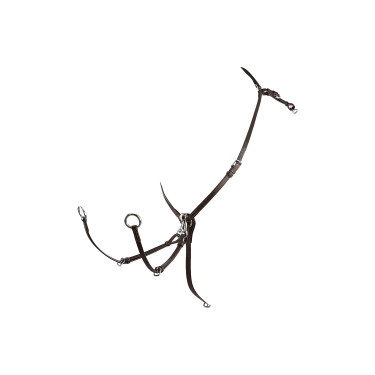 Verstelbare lederen borsttuig Equestro Donkerbruin Verstelbare lederen borsttuig Equestro Donkerbruin