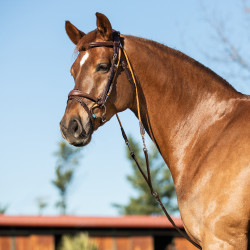 Kalfsleren en nylon chambon van Italiaans Acavallo Donkerbruin