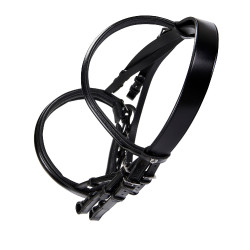 Leren dressuurhoofdstel Dressage Equestro Zwart