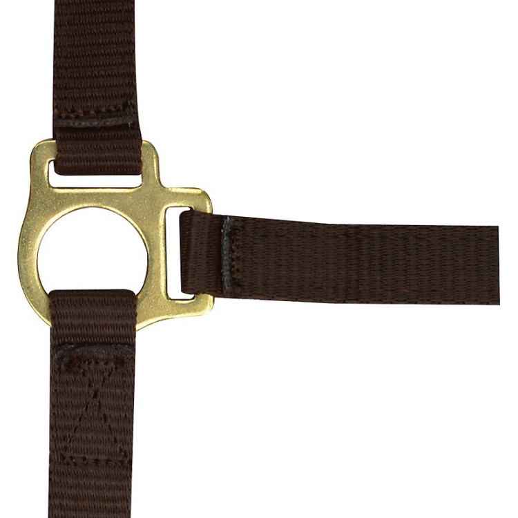 Nylon halster veulen Nylon halster veulen