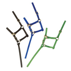 Nylon halster veulen Nylon halster veulen