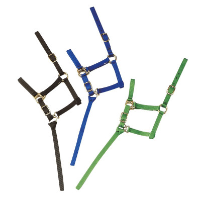 Nylon halster veulen