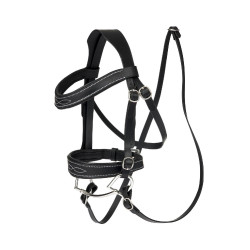 Wedstrijdhoofdstel LeMieux voor Hobby Horse Wedstrijdhoofdstel LeMieux voor Hobby Horse