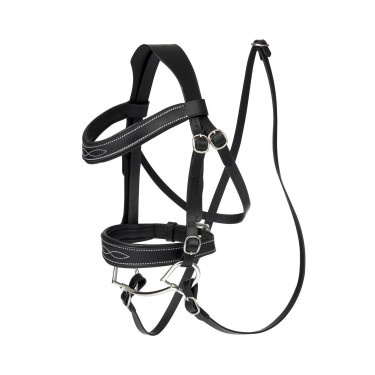 Wedstrijdhoofdstel LeMieux voor Hobby Horse Wedstrijdhoofdstel LeMieux voor Hobby Horse