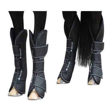 Transportbeschermers Bucas Freedom Zwart Transportbeschermers Bucas Freedom Zwart