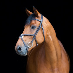 Hoofdstel met kruisneusriem Prescott Horze Hoofdstel met kruisneusriem Prescott Horze