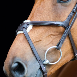 Hoofdstel met kruisneusriem Prescott Horze Hoofdstel met kruisneusriem Prescott Horze