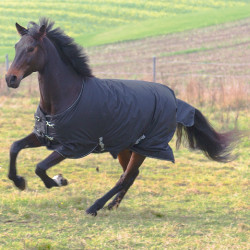 Dekken RugBe IceProtect 200 Covalliero