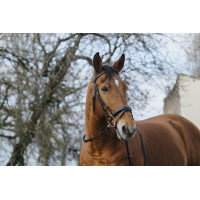Bridon Norton Training Zwart
