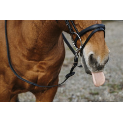 Rubberen teugels Norton Training PVC Rubberen teugels Norton Training PVC