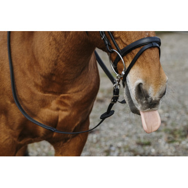 Rubberen teugels Norton Training PVC Rubberen teugels Norton Training PVC
