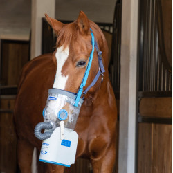 Inhalateur à ultrasons sans fil pour chevaux AirOne Flex Hippomed