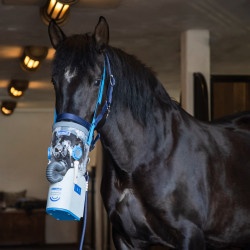 Inhalateur à ultrasons sans fil pour chevaux AirOne Flex Hippomed