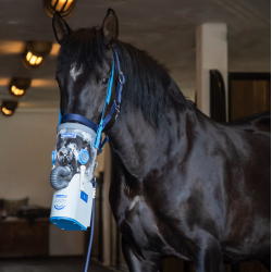 Inhalateur à ultrasons sans fil pour chevaux AirOne Flex Hippomed