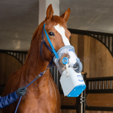 Draadloze ultrasone inhalator voor paarden AirOne Flex Hippomed Draadloze ultrasone inhalator voor paarden AirOne Flex Hippomed