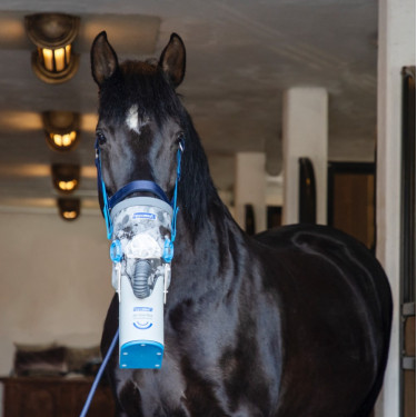 Draadloze ultrasone inhalator voor paarden AirOne Flex Hippomed Draadloze ultrasone inhalator voor paarden AirOne Flex Hippomed
