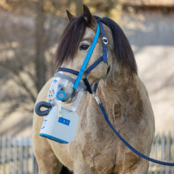 Inhalateur à ultrasons sans fil pour chevaux AirOne Flex Hippomed