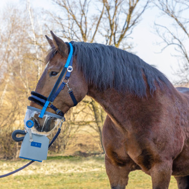 Draadloze ultrasone inhalator voor paarden AirOne Flex Hippomed Draadloze ultrasone inhalator voor paarden AirOne Flex Hippomed