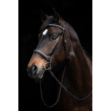 Bridon Hunter 2 HKM Donkerbruin