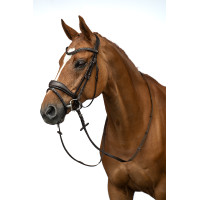 Bridon Ira HKM Bruin Bridon Ira HKM Bruin