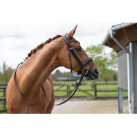 Bridon Ira HKM Bruin Bridon Ira HKM Bruin