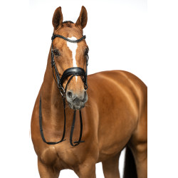 Bridon Ira HKM Zwart Bridon Ira HKM Zwart