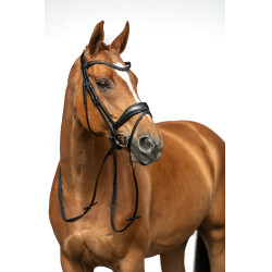 Bridon Ira HKM Zwart Bridon Ira HKM Zwart