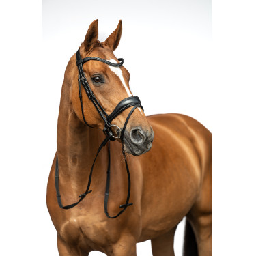 Bridon Ira HKM Zwart Bridon Ira HKM Zwart