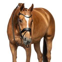 Bridon Ira HKM Zwart Bridon Ira HKM Zwart