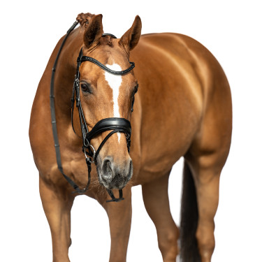 Bridon Ira HKM Zwart Bridon Ira HKM Zwart