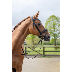 Bridon Ira HKM Zwart Bridon Ira HKM Zwart