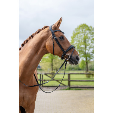 Bridon Ira HKM Zwart Bridon Ira HKM Zwart