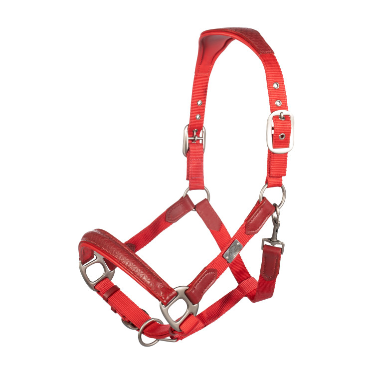 Halster Aruba HKM
