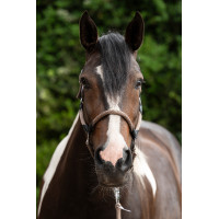 Halster Carlotta HKM Taupe Bruin Halster Carlotta HKM Taupe Bruin