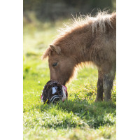 Ster set Cuddle Pony HKM Blauw sterren Ster set Cuddle Pony HKM Blauw sterren