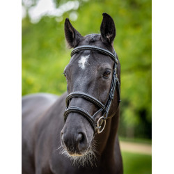 Dubbele neusriem hoofdstel LeMieux Kudos Zwart / zilver Dubbele neusriem hoofdstel LeMieux Kudos Zwart / zilver