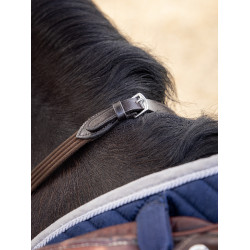 Teugels LeMieux Webbed Continental Bruin / zilver