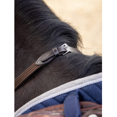 Teugels LeMieux Webbed Continental Bruin / zilver