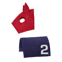 Tapis et masque en lycra LeMieux pour jouet Mini Poney Tapis et masque en lycra LeMieux pour jouet Mini Poney