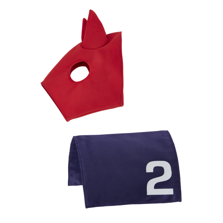 Tapijt en masker van lycra LeMieux voor speelgoed Mini Pony