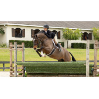 Hunter LeMieux Merino+ zadeldek Wit / wit Hunter LeMieux Merino+ zadeldek Wit / wit