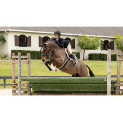 Hunter LeMieux Merino+ zadeldek Wit / wit