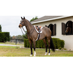 Hunter LeMieux Merino+ zadeldek Wit / wit