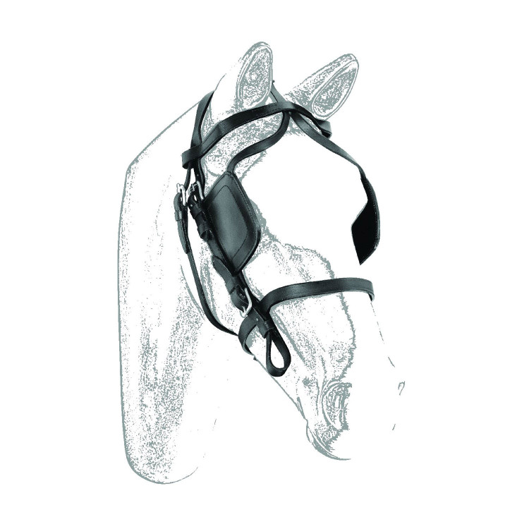 Leren Koetsenhoofdstel Umbria Equitazione