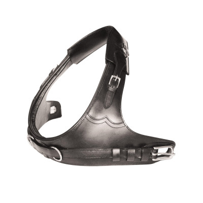 Halsband voor Koets Umbria Equitazione Zwart