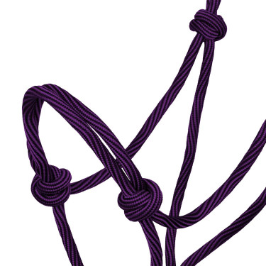 Halster Verstelbaar Gevlochten Touw Waves Design 8mm Pool's Violet / zwart