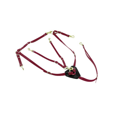 Collier de chasse en Biothane avec Martingale Lakota Bordeaux
